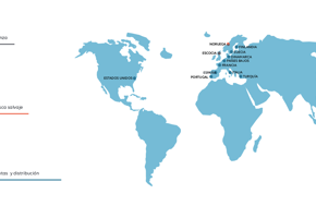 Mapa del mundo.
