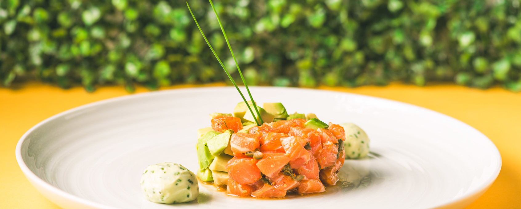 Tartar de salmón con aguacate
