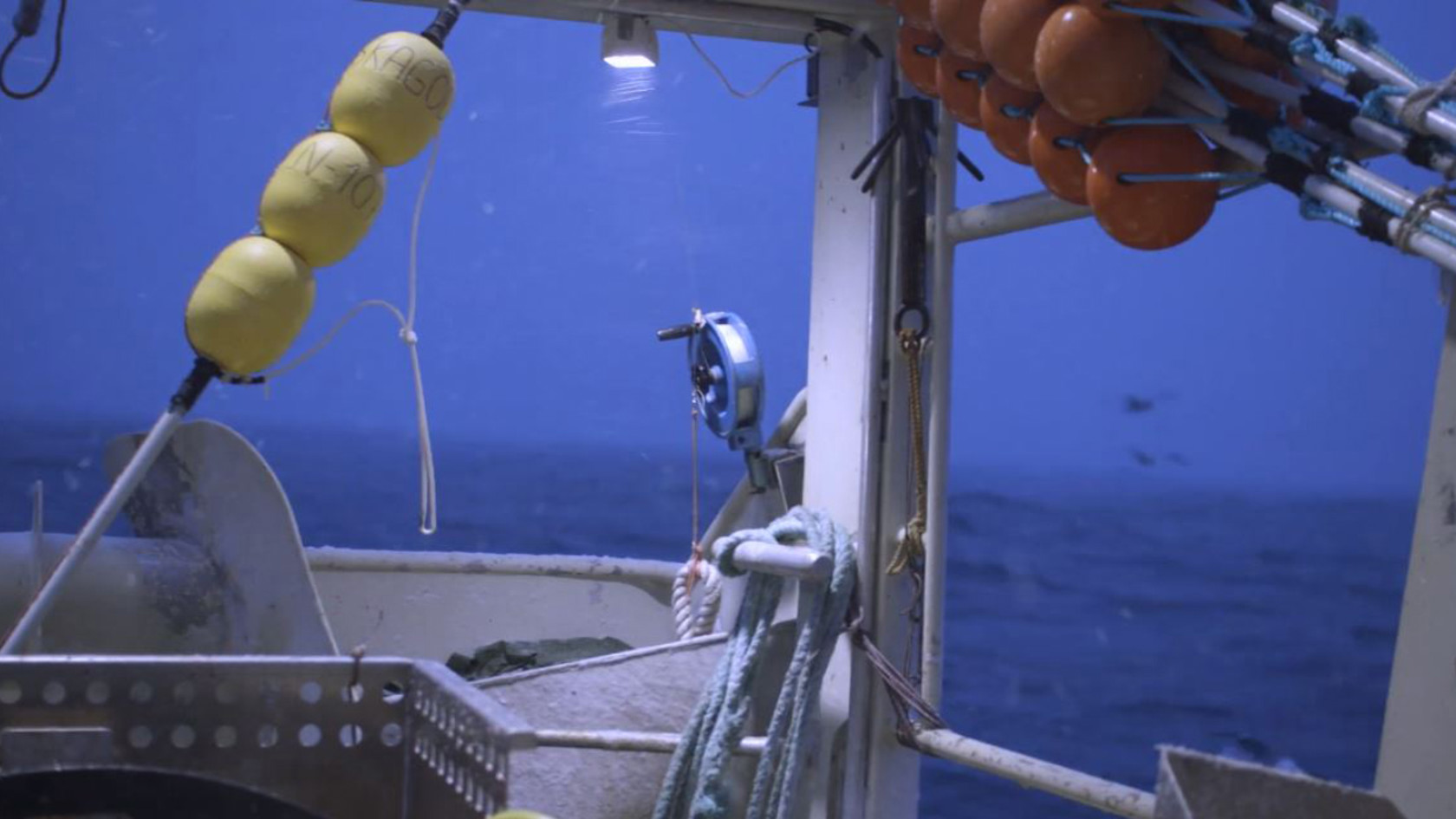 Fishing Skrei in Berlevåg in Norway