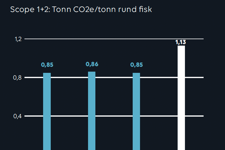 Tonn CO2 Villfangst