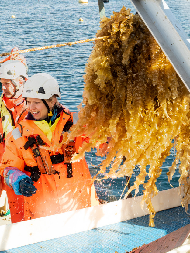 Ocean Forest employees looking away from seaweed with the ocean in the background. 