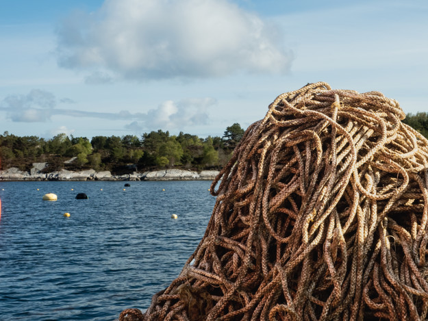 Tau i en haug, havet i bakgrunn.
